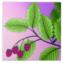 Suche nach himbeeren fliesen Rosa
