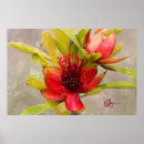 Suche nach protea blume poster Tropisch