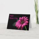 Suche nach rosa gänseblümchen karten Mutter