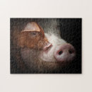 Suche nach rosa schwein puzzle Ferkel