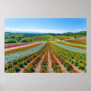 Suche nach hokkaido poster Landschaft