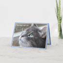 Suche nach meow an karten Lustig