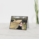 Suche nach kuh spaß karten Holstein