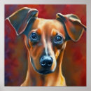 Suche nach pinscher poster Haustier