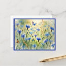 Suche nach cornflower postkarten Maisblume