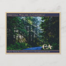 Suche nach lido postkarten Vintag