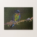 Suche nach costa rica puzzle Fotografie