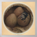 Suche nach insekten poster Käfer