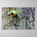 Suche nach alter baum poster Grün
