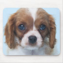Suche nach schoßhund mousepads Welpe