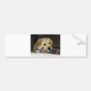 Suche nach schwarzes labrador autoaufkleber Liebe