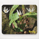 Suche nach forelle mousepads Fotografie