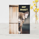Suche nach pitbull welpen karten Hund