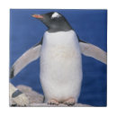 Suche nach seevögel fliesen Wild