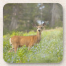 Suche nach draußen untersetzer Tierjagd