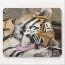Suche nach lebende mousepads Stillstehen