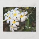 Suche nach hawaii blumen postkarten Strand