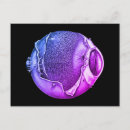 Suche nach vintage anatomie postkarten Arzt