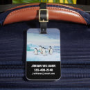 Suche nach penguin gepäckanhänger Schnee