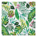 Suche nach bananenblatt poster Botanisch