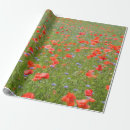 Suche nach mohnblume geschenkpapier Wildblumen