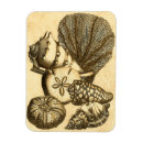 Suche nach algen magnete Kelp