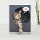 Suche nach kater karten Jede person