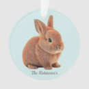 Suche nach hase ornamente Für alle