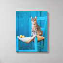 Suche nach kitten leinwandbilder Lustig
