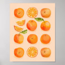 Suche nach citrus poster Modern