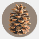 Suche nach pin aufkleber Baum