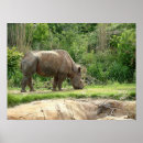 Suche nach rhino poster Zoo