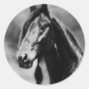 Suche nach apache aufkleber Apathie