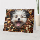 Suche nach leben geht weiter karten Spaß