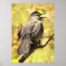 Suche nach gelber vogel poster Grau