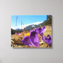 Suche nach krokodil leinwandbilder Blume