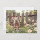 Suche nach glückliches schwein postkarten Jede person