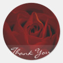 Suche nach tiefrote rose Blume