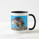 Suche nach osprey tassen Raubvogel