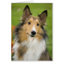 Suche nach engelbrecht postkarten Natur