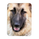 Suche nach deutsche magnete Gsd