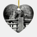 Suche nach pferdeliebhaber ornamente Pferdeverzierung