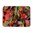 Suche nach washington magnete Herbst