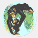 Suche nach chimp aufkleber Tier