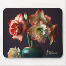 Suche nach amaryllis mousepads Für alle