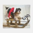 Suche nach schlitten decken Jede person