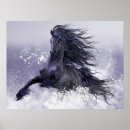 Suche nach friesisch poster Schwarzes
