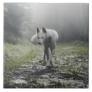 Suche nach sibirischer husky fliesen Zäh