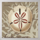 Suche nach seaside poster Muscheln
