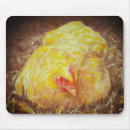 Suche nach bub mousepads Jede person